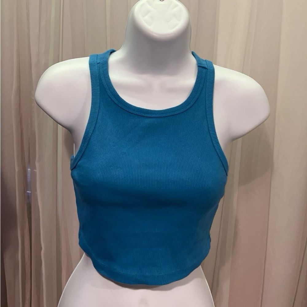 Blue Wild Fable Crop Top